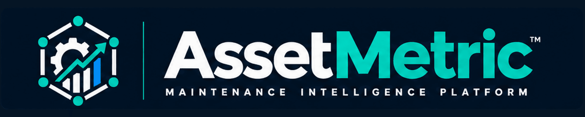 AssetMetric™
